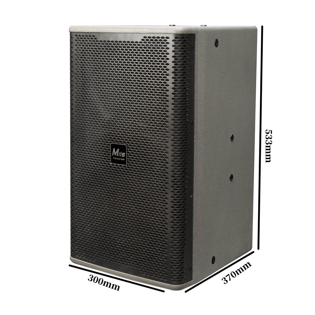 Rv10 Professional Speaker Size